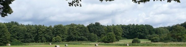 Ringenwalde Ringenwalde